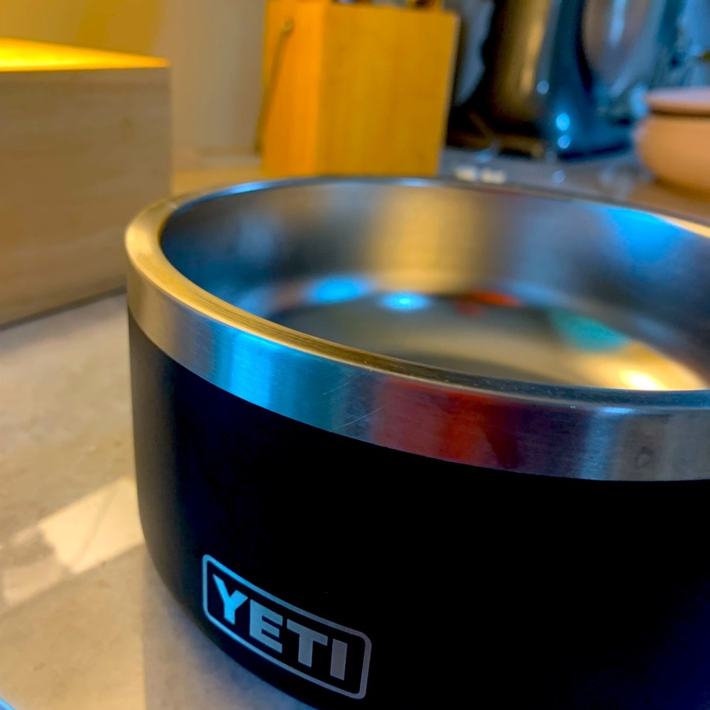 yeti dog pet cat human bowl stainless and black yeti boomer 8